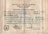 AlmaBirthCert.jpg (163289 bytes)